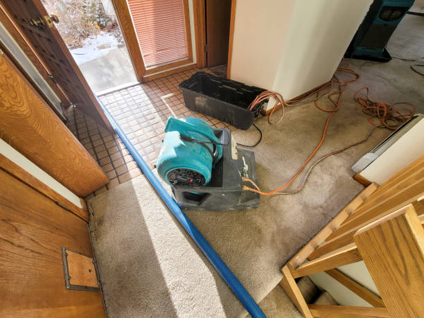 Best Emergency water damage restoration  in USA